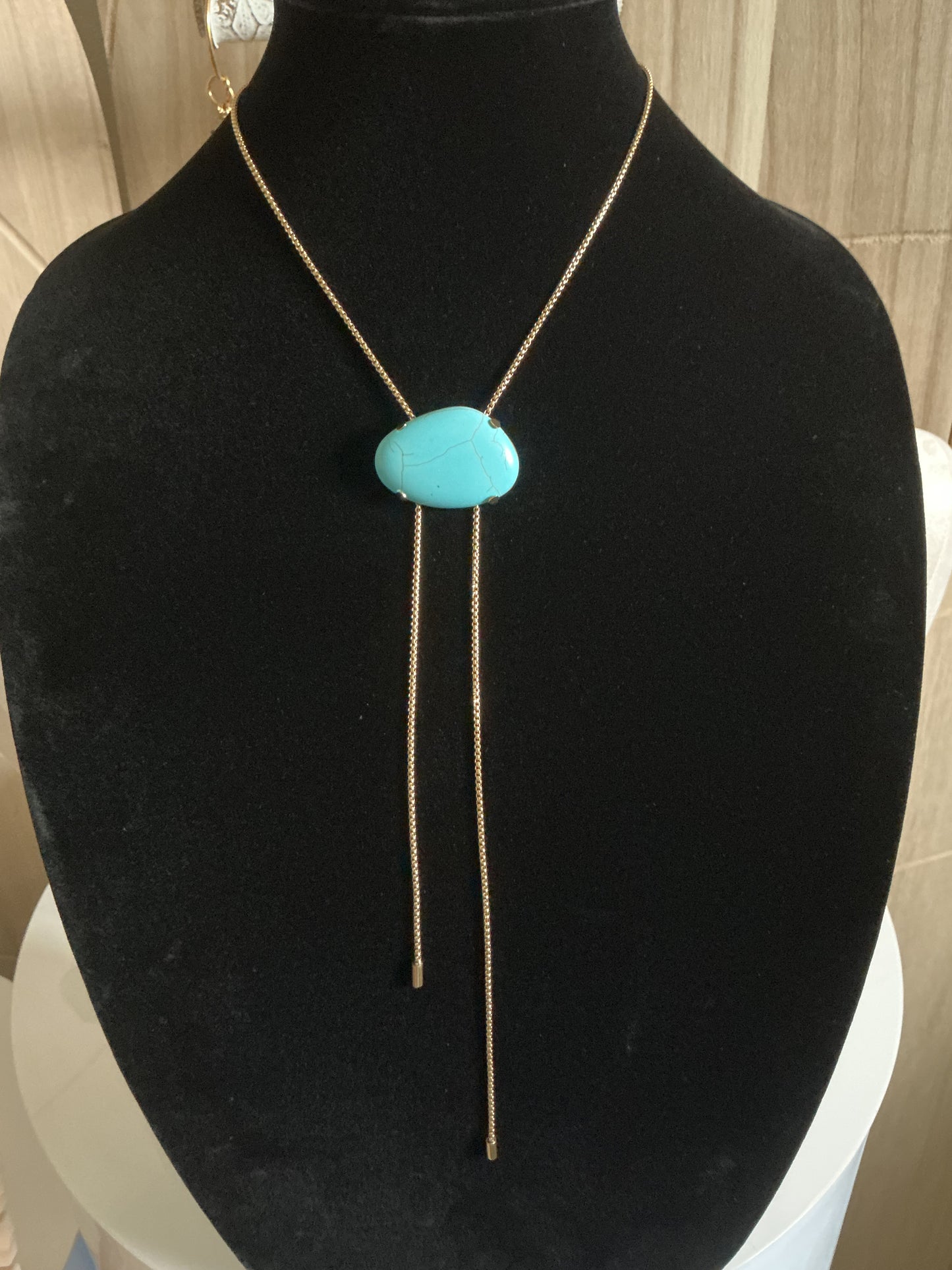 Turquoise Charm Bolo Necklace