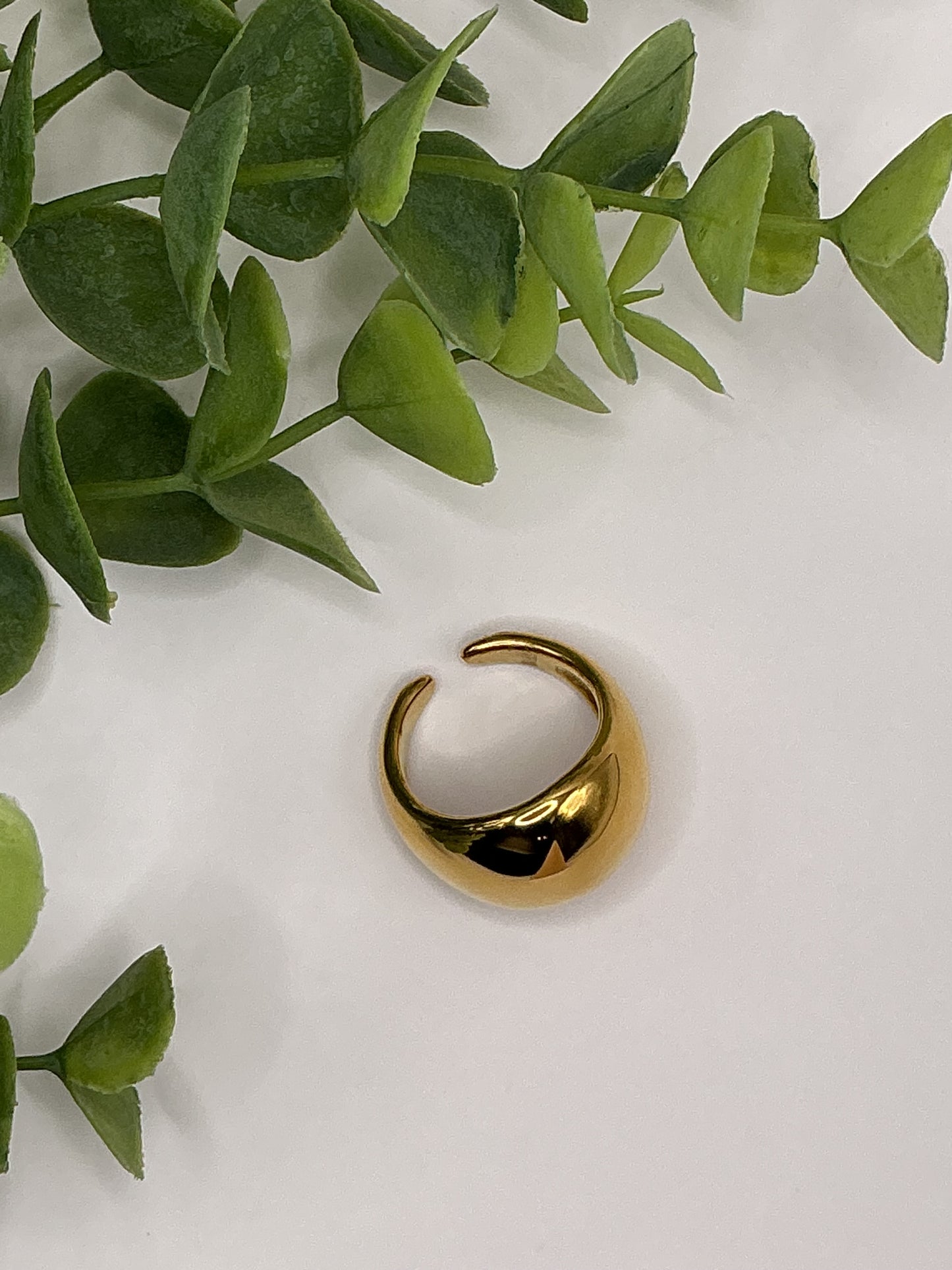 Chunk Ring