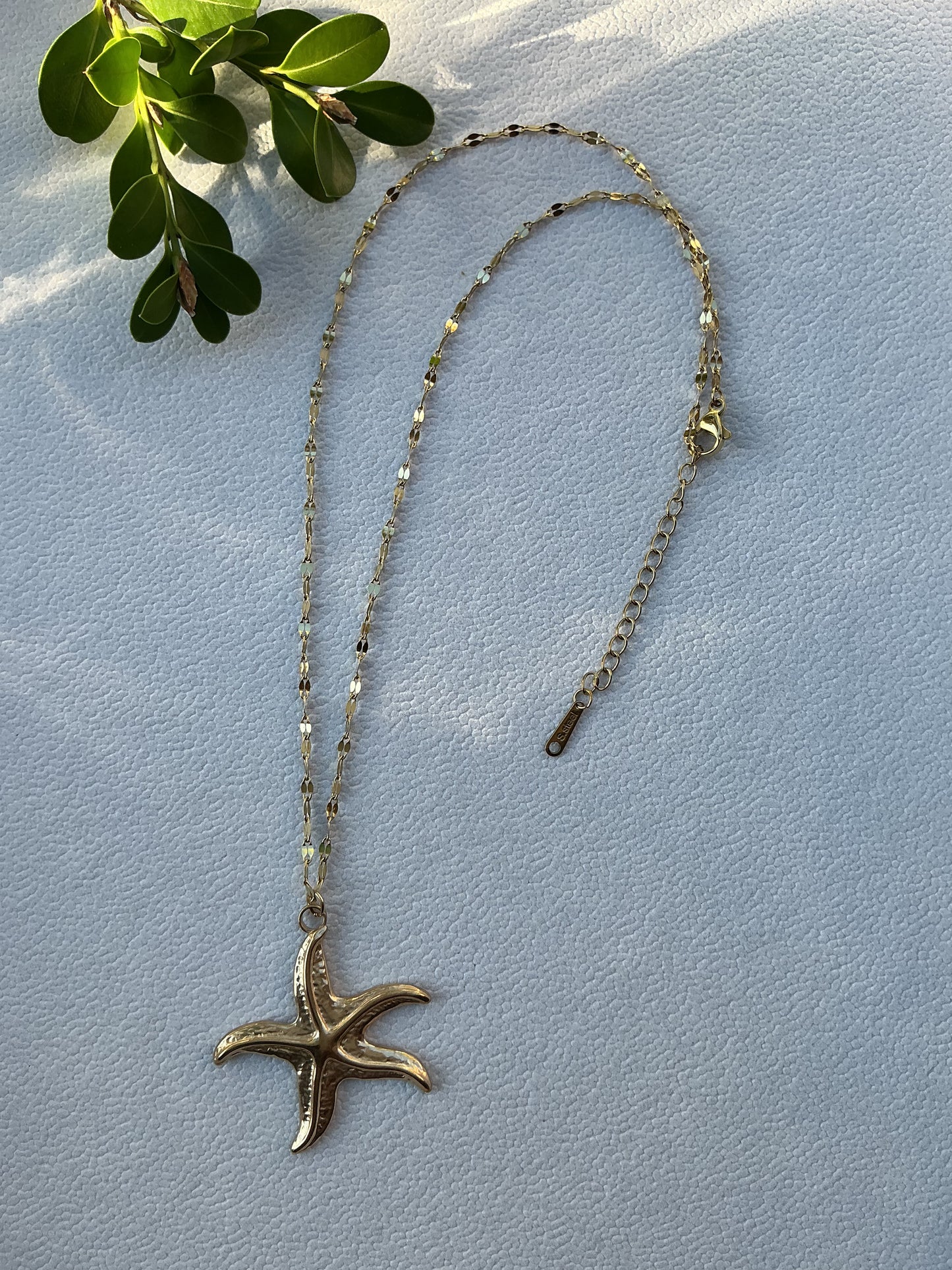 Tortoise Starfish